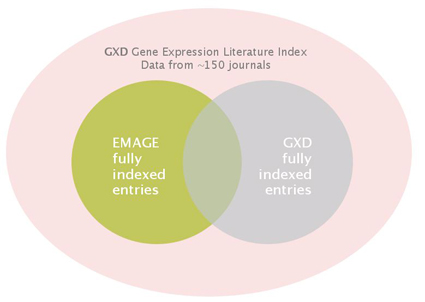 data_overlap_EMAGE_GXD