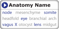 search for gene expression using anatomy names from the structured ontology