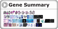 gene summary