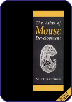 Atlas of Mouse Development Book cover