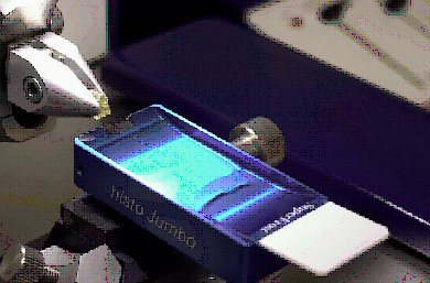 microtome sectioning microtome sectioning